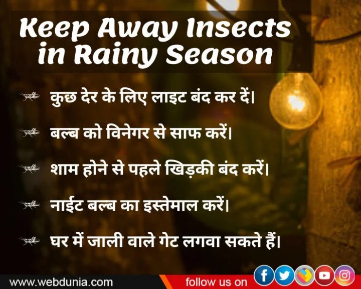 how to keep away insects at home