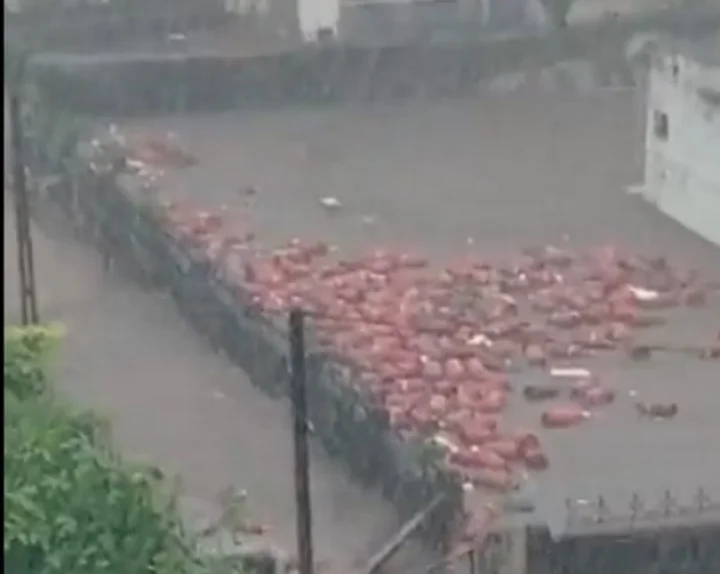 navsari rain