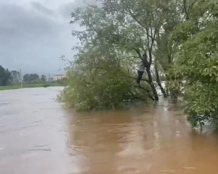 panganga river