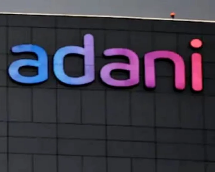Adani profit