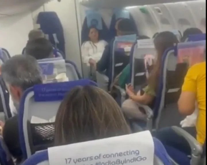 indigo flight