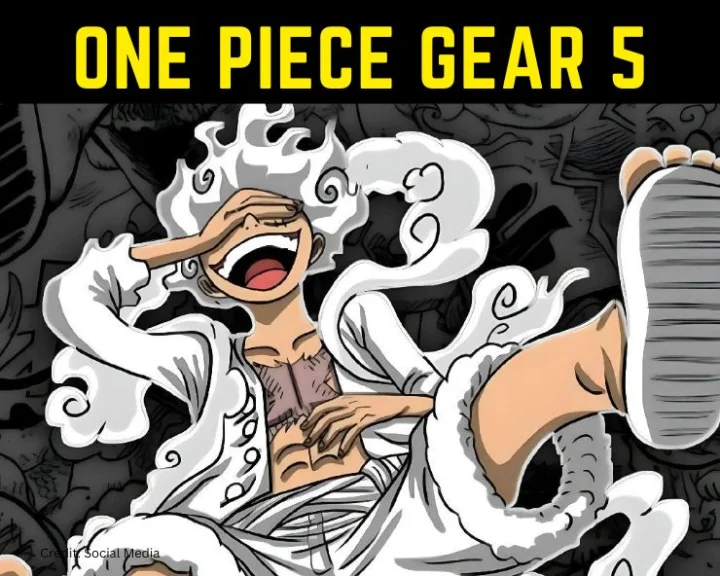 one piece gear 5