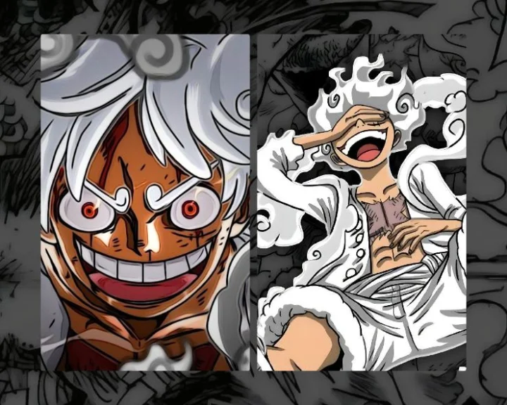 one piece gear 5