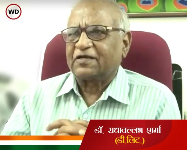 National Language Hindi