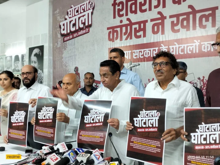 Madhya Pradesh Assembly Elections
