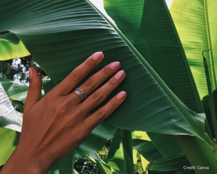 banana leaves