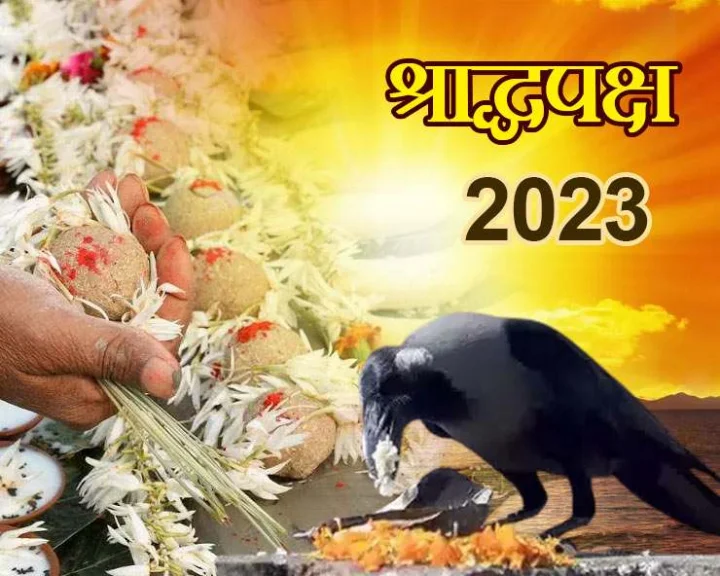 Shraddha Paksha Rulls