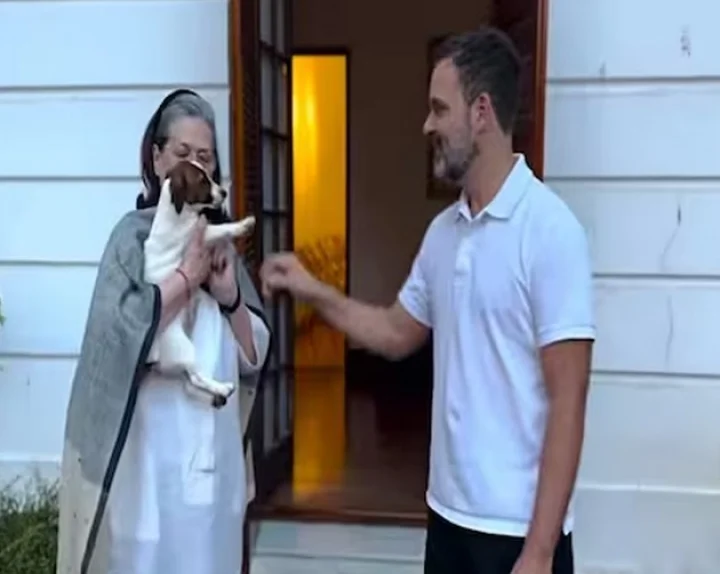 Controversy over Rahul Gandhi's pet dog
