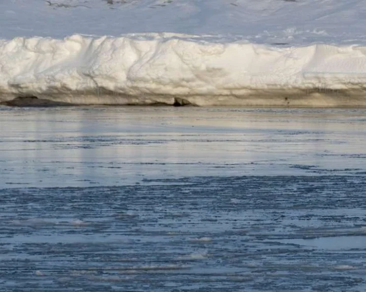 Antarctic