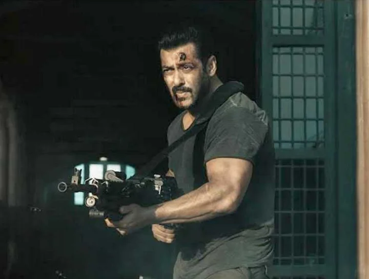 Tiger 3 box office report