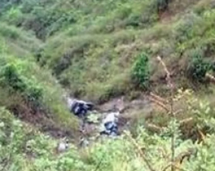 37 people died after their bus fell into a ditch in Doda