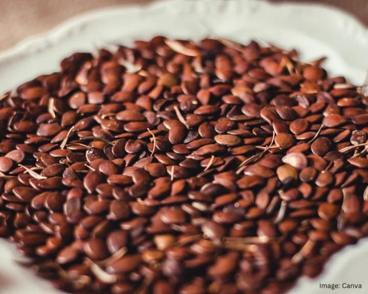 Roasted Flax Seeds