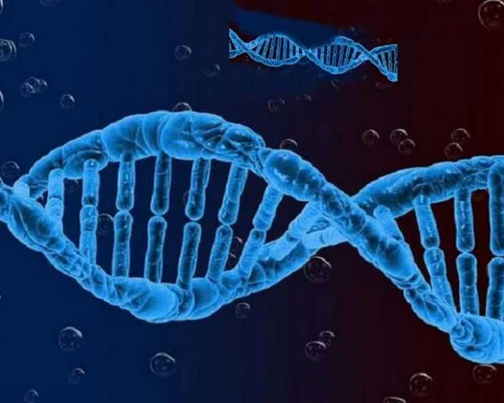 This tiny plant has the largest genome on Earth