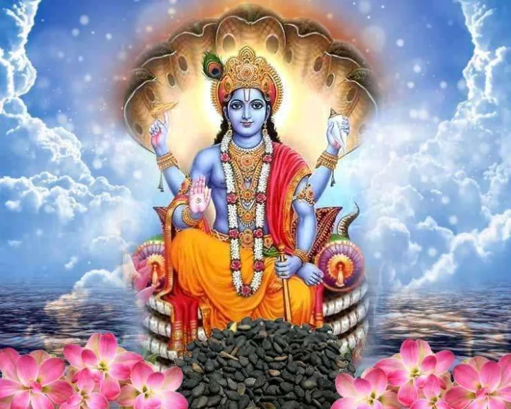 Remedies for Shattila Ekadashi