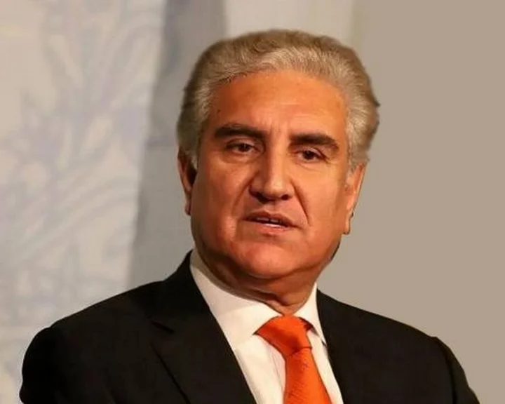 Shah Mahmood Qureshi disqualified from contesting elections​