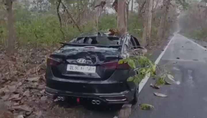 Herd of elephants attacked tourist car