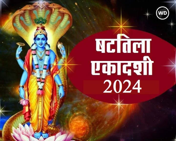 Shattila Ekadashi Upay 2024