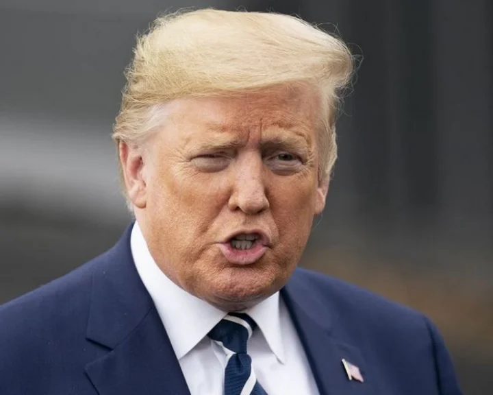 Trump demands to make voter ID compulsory in the voting process