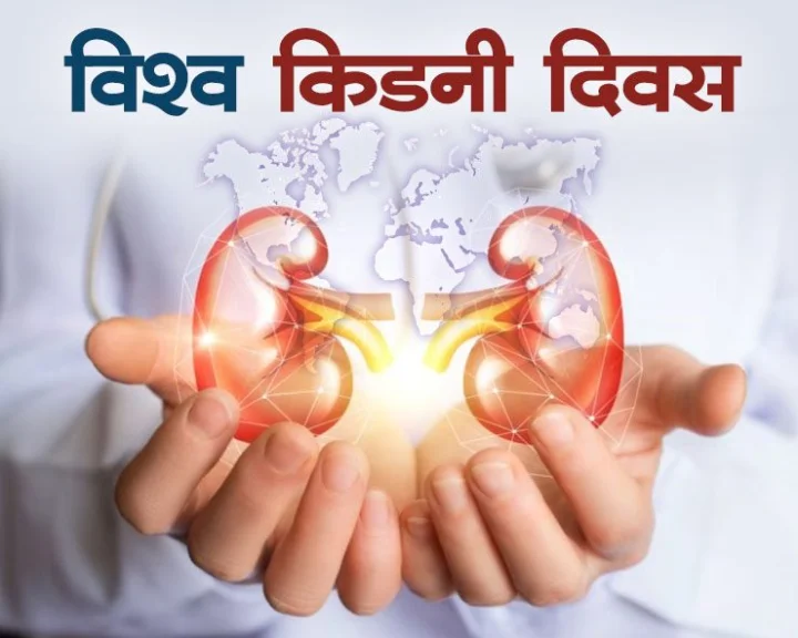 World Kidney Day History