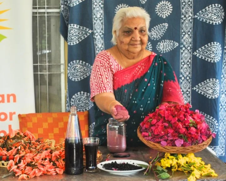 Organic Holi Colours
