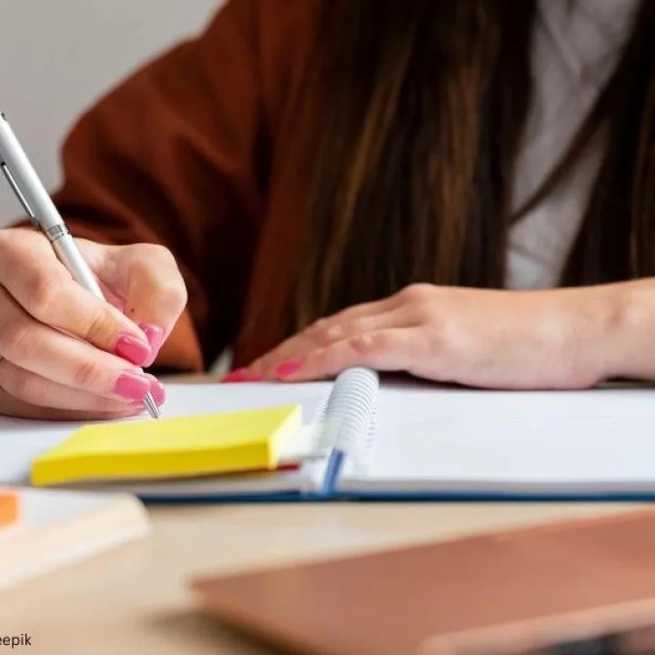 Hindi Content Writer