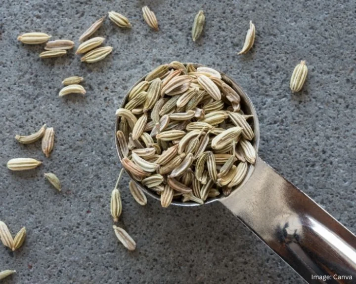 Fennel Seeds Benefits For Hair