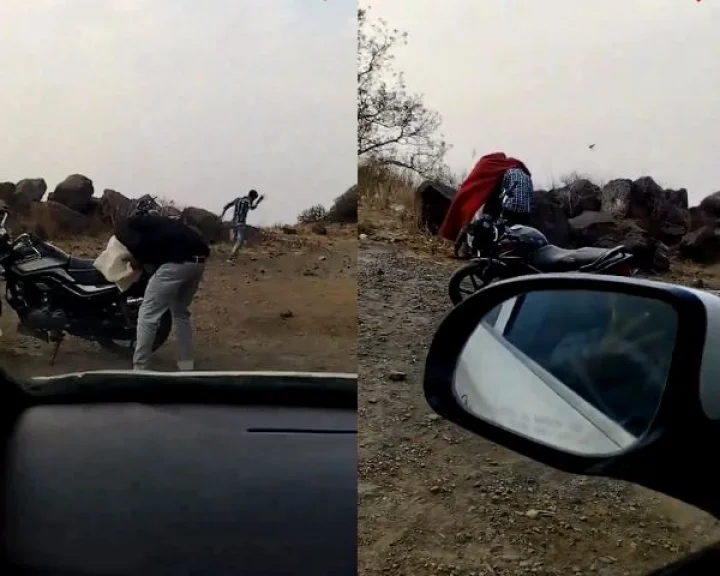 Bee attack in Asirgarh