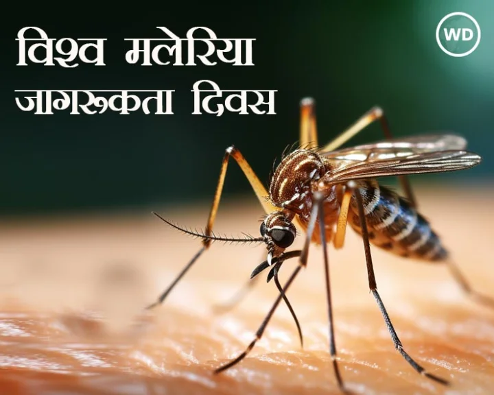 World Malaria Day 2024