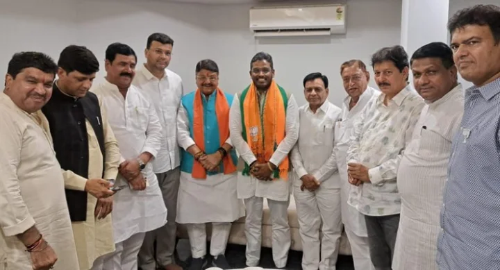 Lok Sabha elections