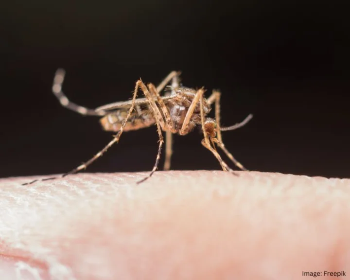 Mosquito Repellent Natural Remedy