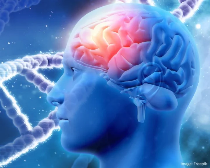 Toxic Brain Foods