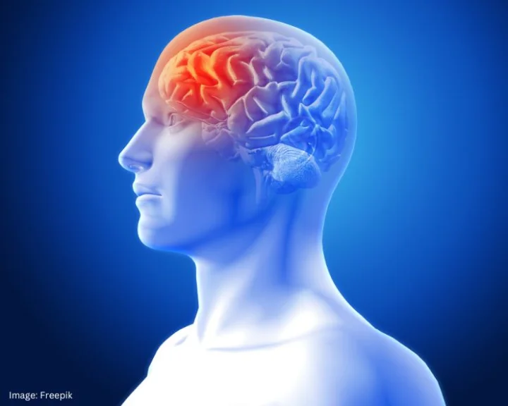 Toxic Brain Foods