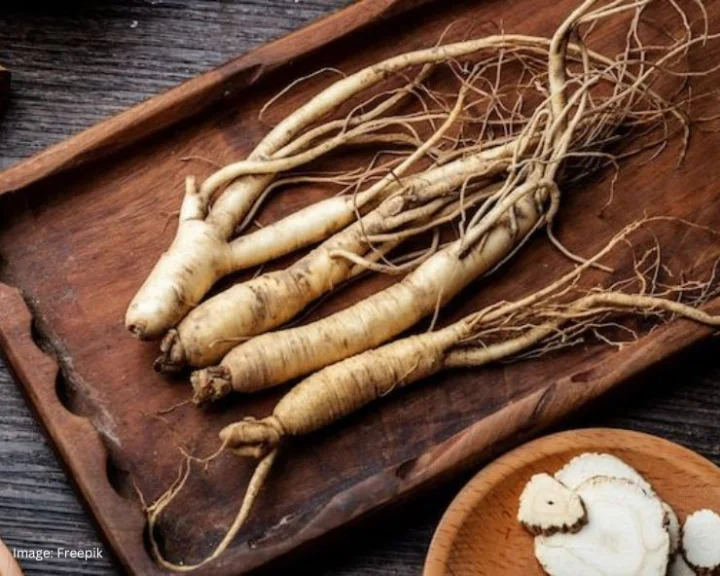 पुरुषों के लिए बहुत फायदेमंद है जिनसेंग का सेवन, जानें 10 फायदे