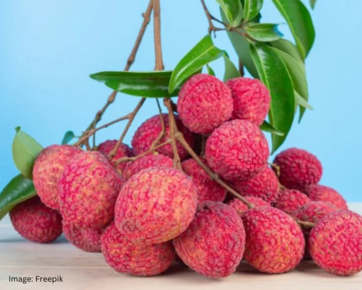 Lychee Benefits in Pregnancy