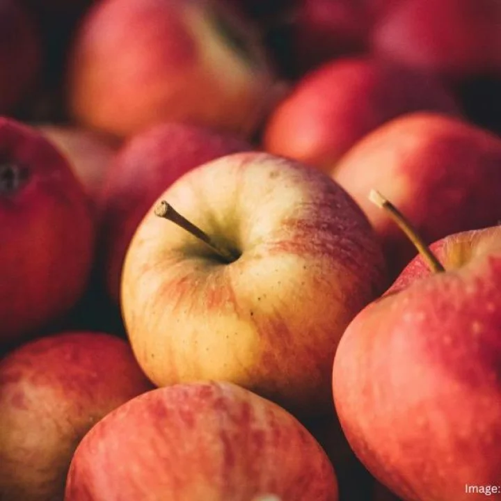 બજારમાં મળતા ફળોમાં ભેળસેળ: દુકાનદારે સફરજનને રંગ આપતા જોયા, સોશિયલ મીડિયા પર વાયરલ વીડિયોને કારણે ચિંતા વધી