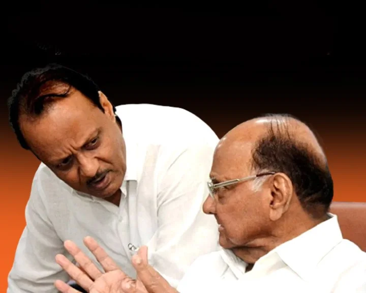 Maharashtra Assembly Elections 2024