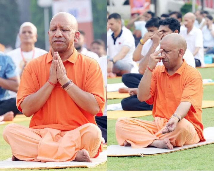 yogi yog