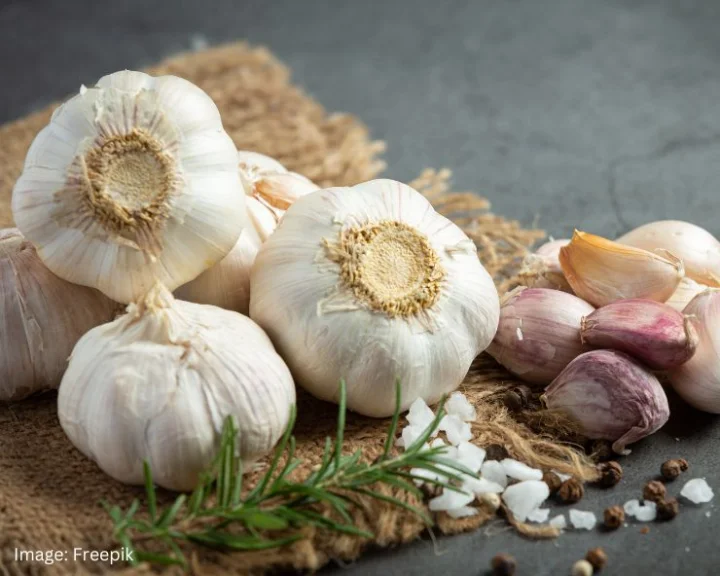 Garlic Benefits