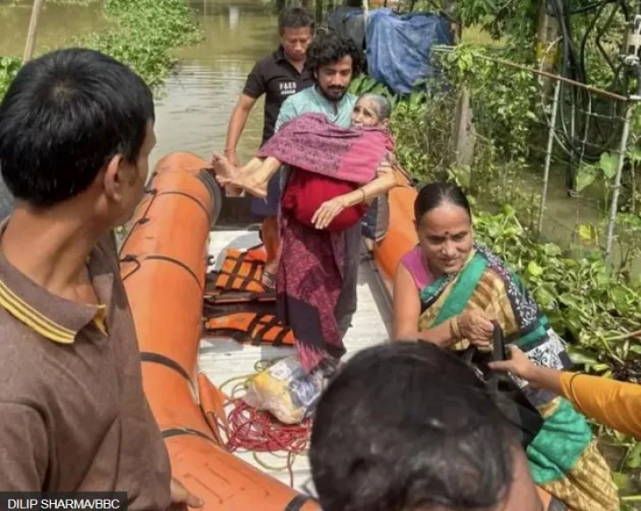 assam flood bbc