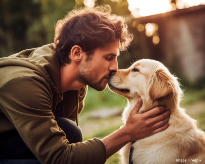 How To Take Care Of A Pet In Monsoon