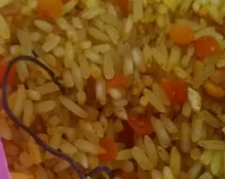 snake in food