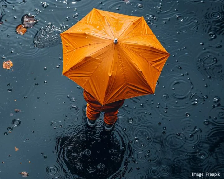 rain alert
