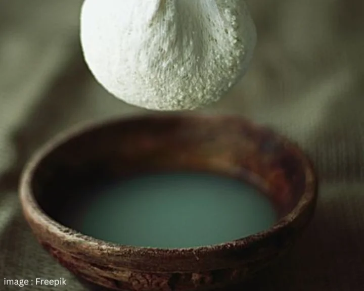 paneer water for skin