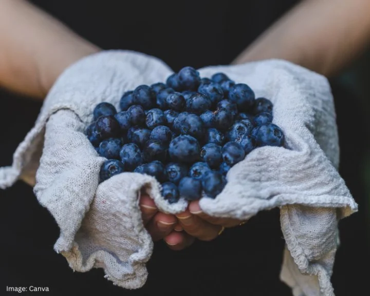 blueberries health benefits hindi