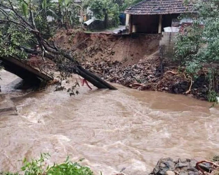 wayanad landslide