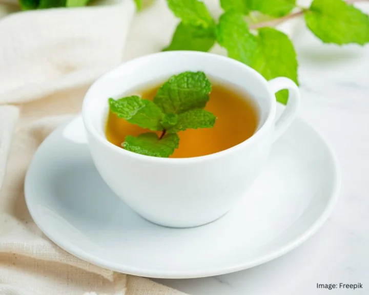 Basil Tea Benefits