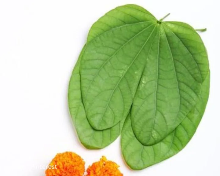 विजय दशमी