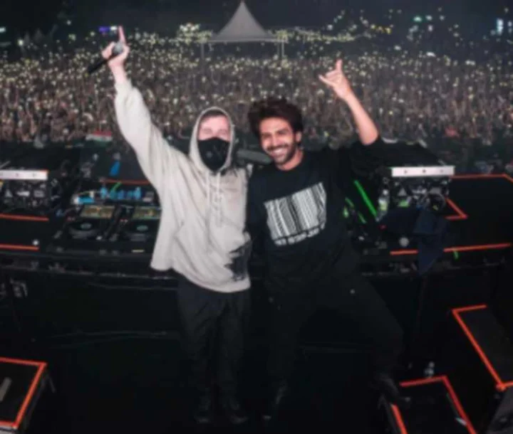 Alan Walker Concert
