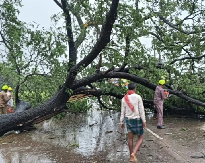 cyclone dana