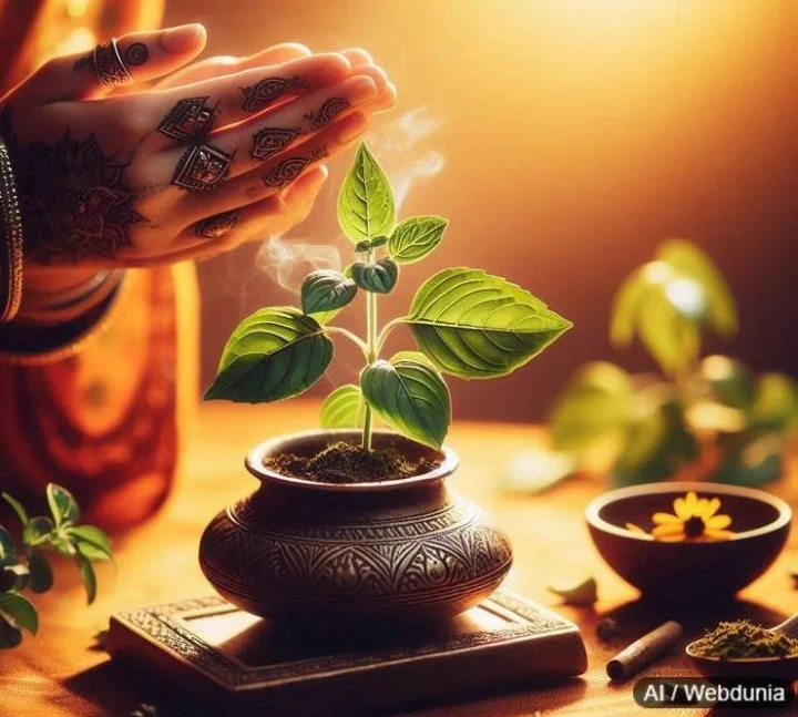 tulsi puja vidhi in gujarati